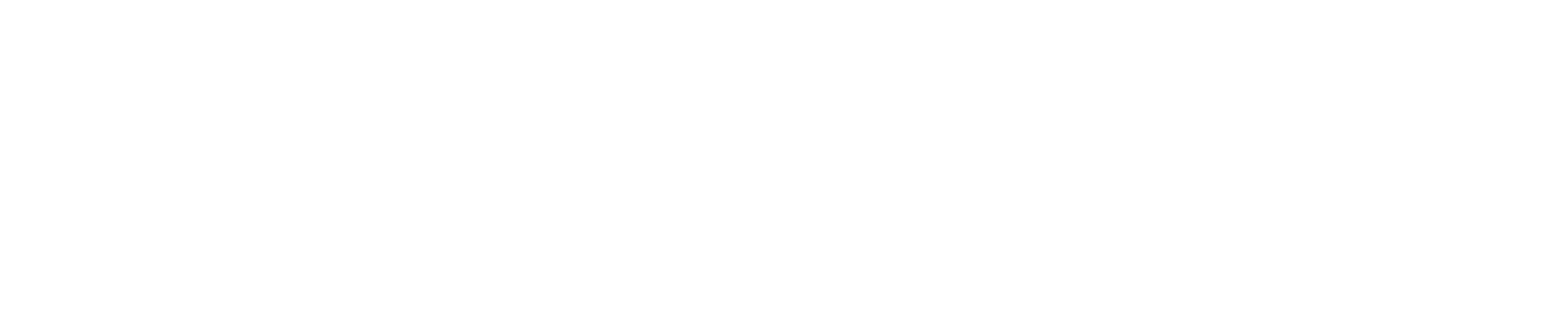 Ingrid Schwarz Band